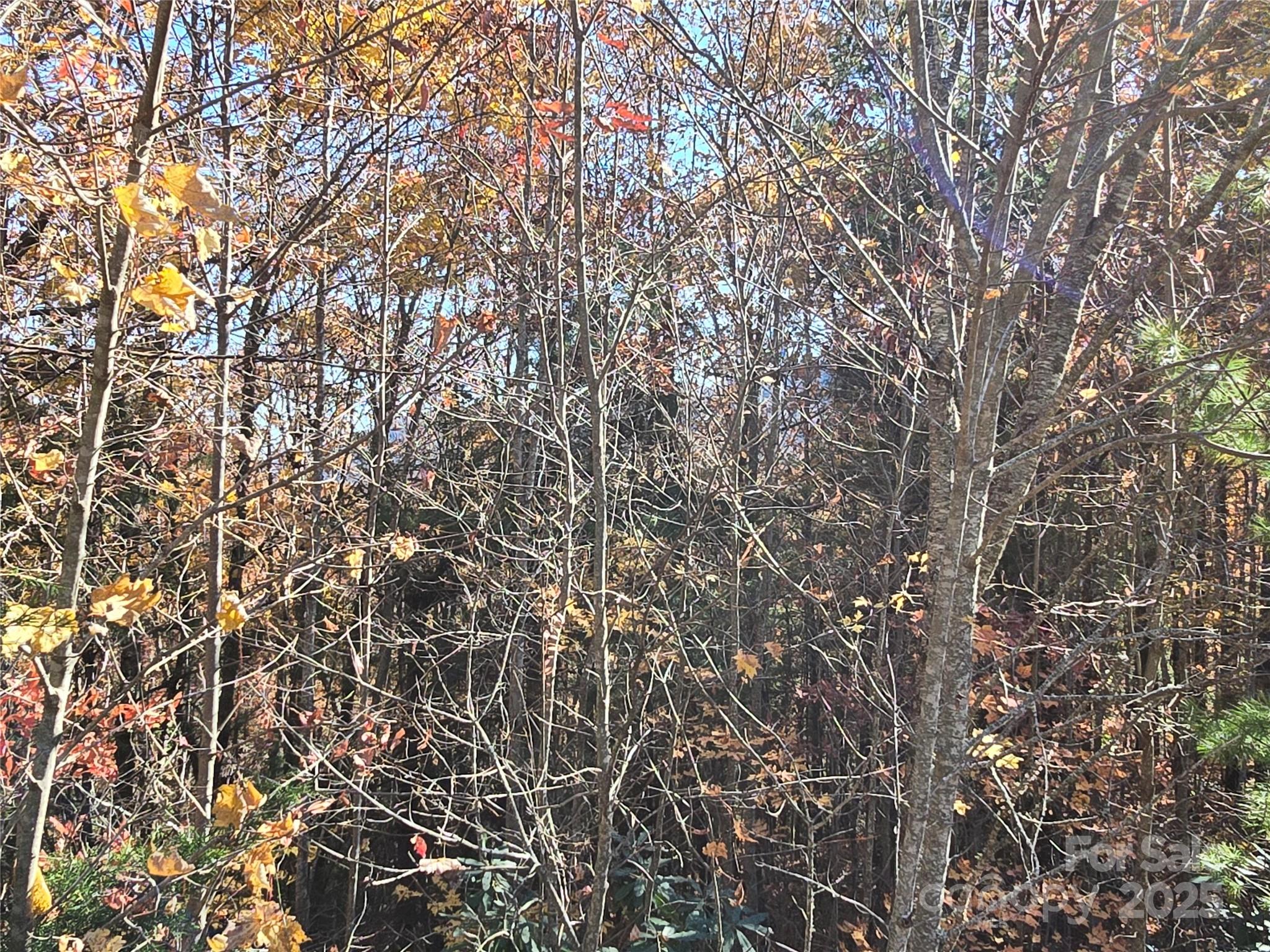295 S Feather Falls Trail Black Mountain NC 28711