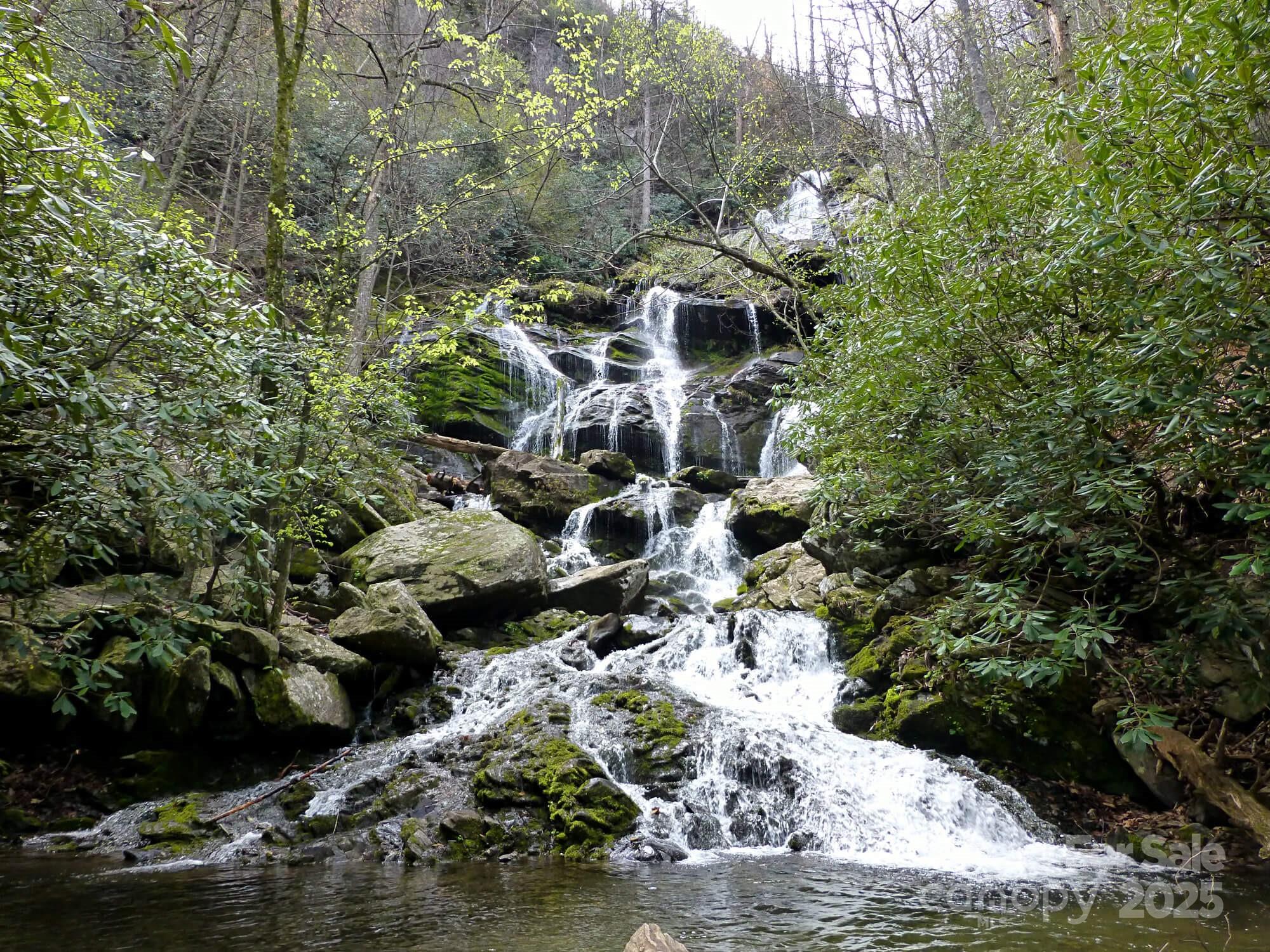 295 S Feather Falls Trail Black Mountain NC 28711