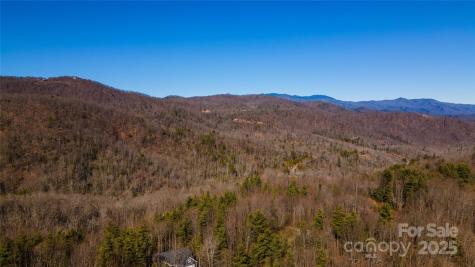 295 S Feather Falls Trail Black Mountain NC 28711