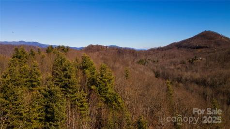 295 S Feather Falls Trail Black Mountain NC 28711