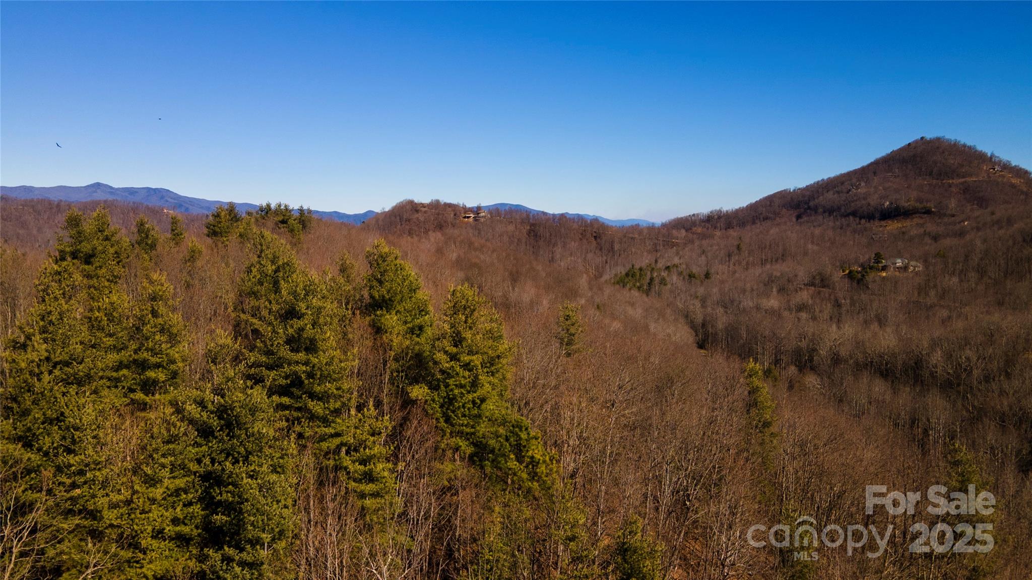 295 S Feather Falls Trail Black Mountain NC 28711