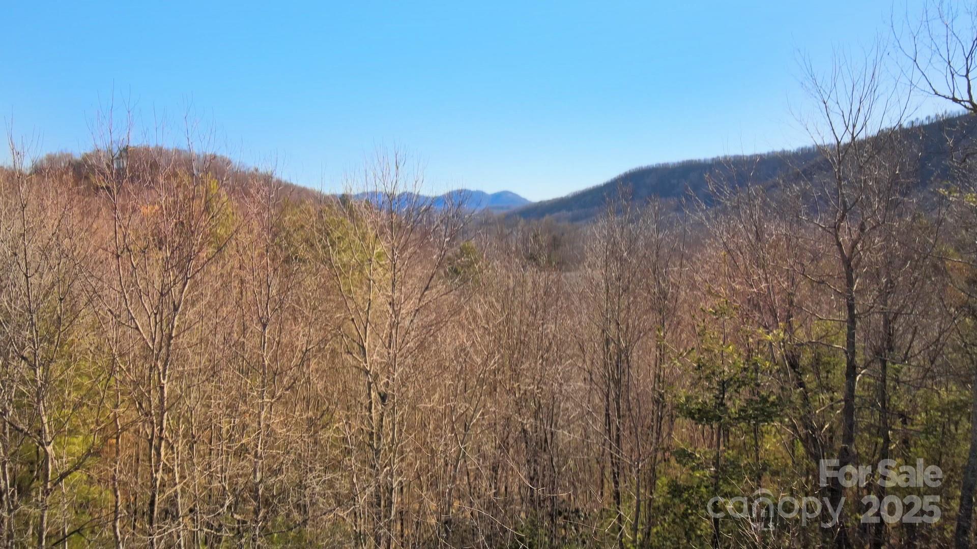 295 S Feather Falls Trail Black Mountain NC 28711