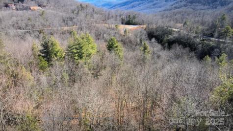 295 S Feather Falls Trail Black Mountain NC 28711