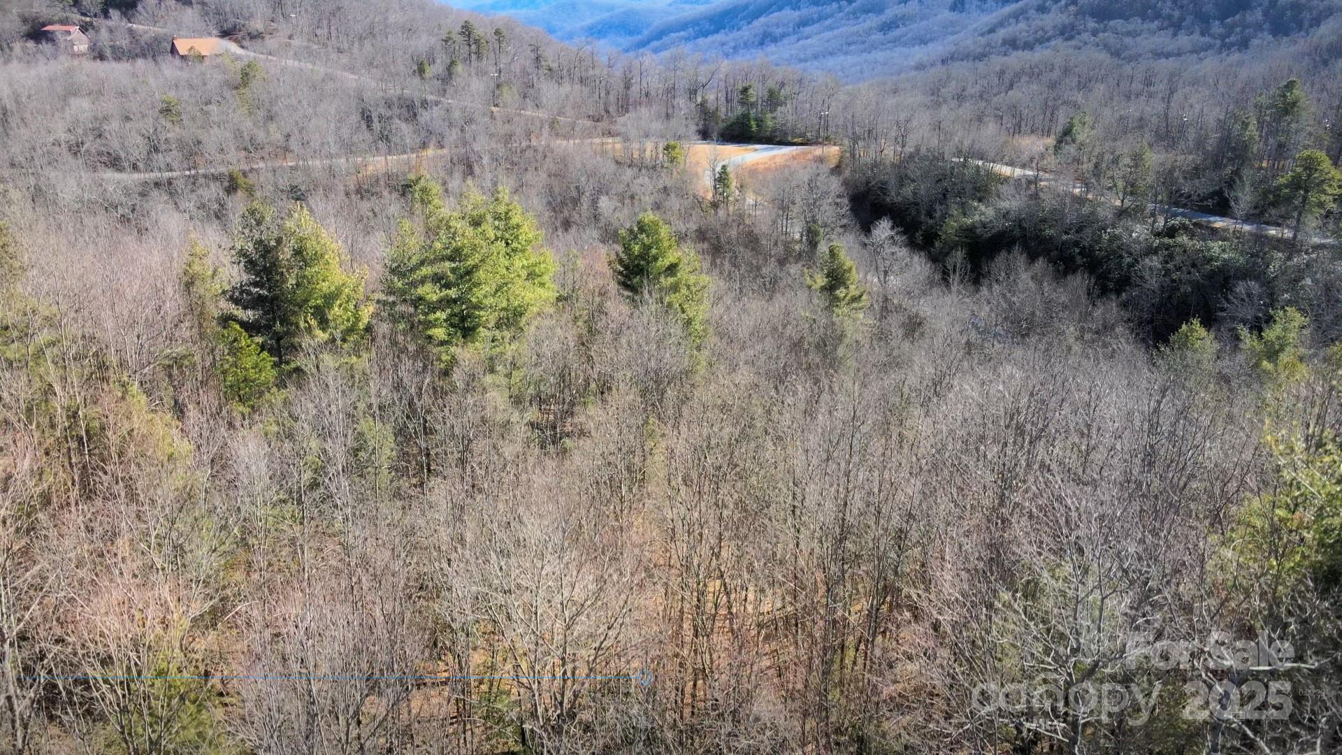 295 S Feather Falls Trail Black Mountain NC 28711