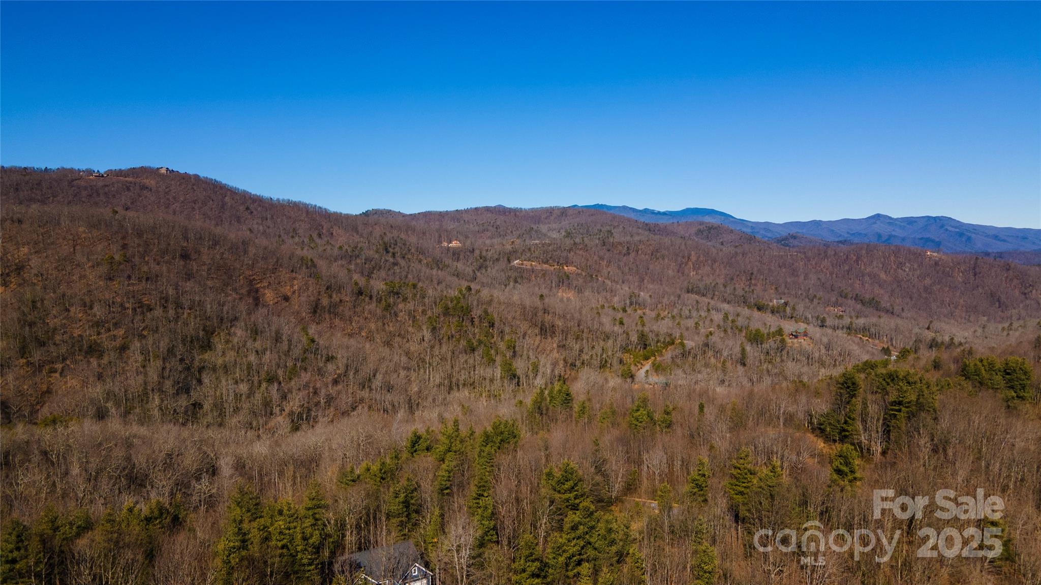 295 S Feather Falls Trail Black Mountain NC 28711