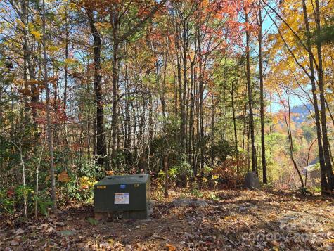 295 S Feather Falls Trail Black Mountain NC 28711