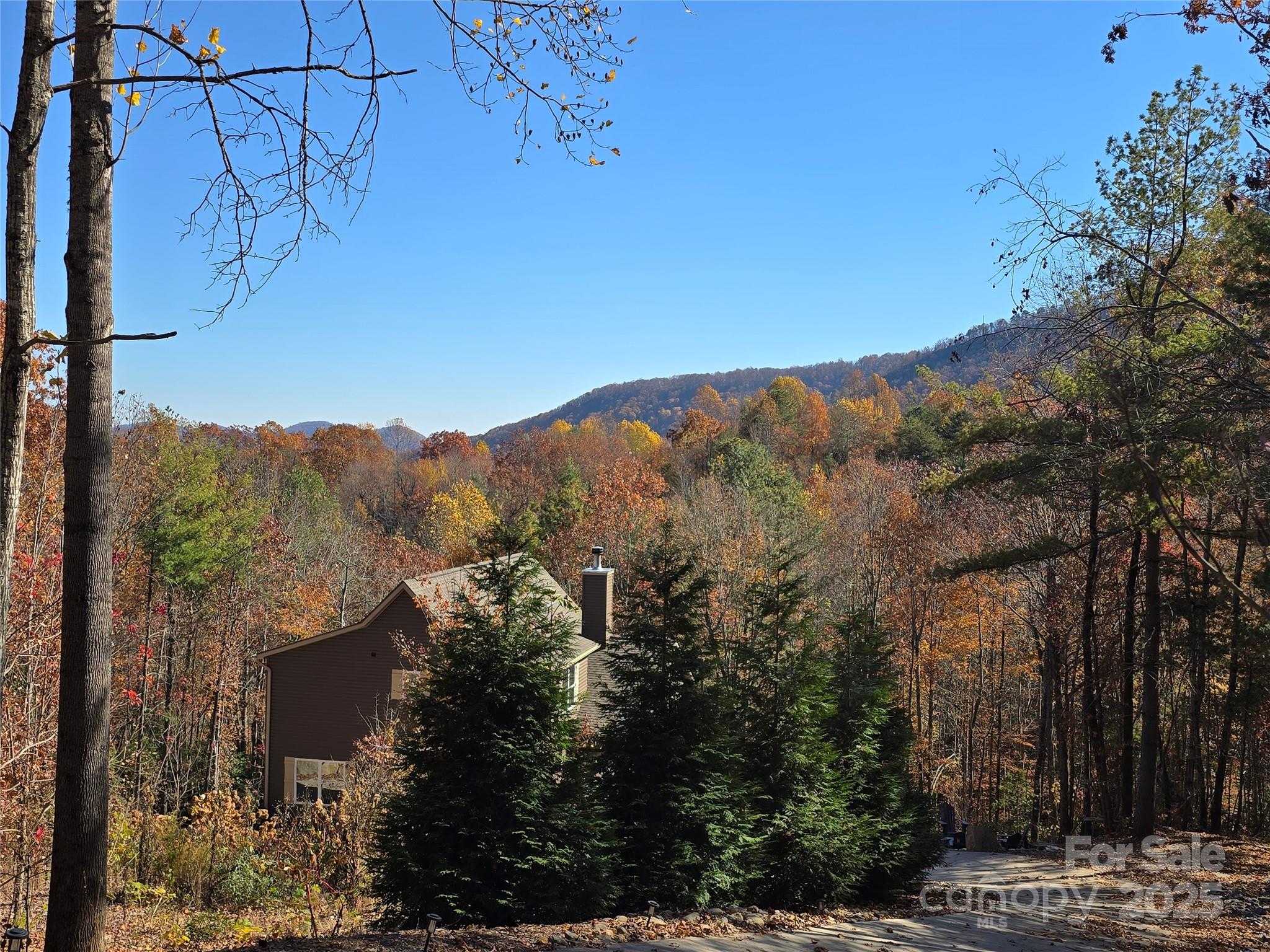 295 S Feather Falls Trail Black Mountain NC 28711