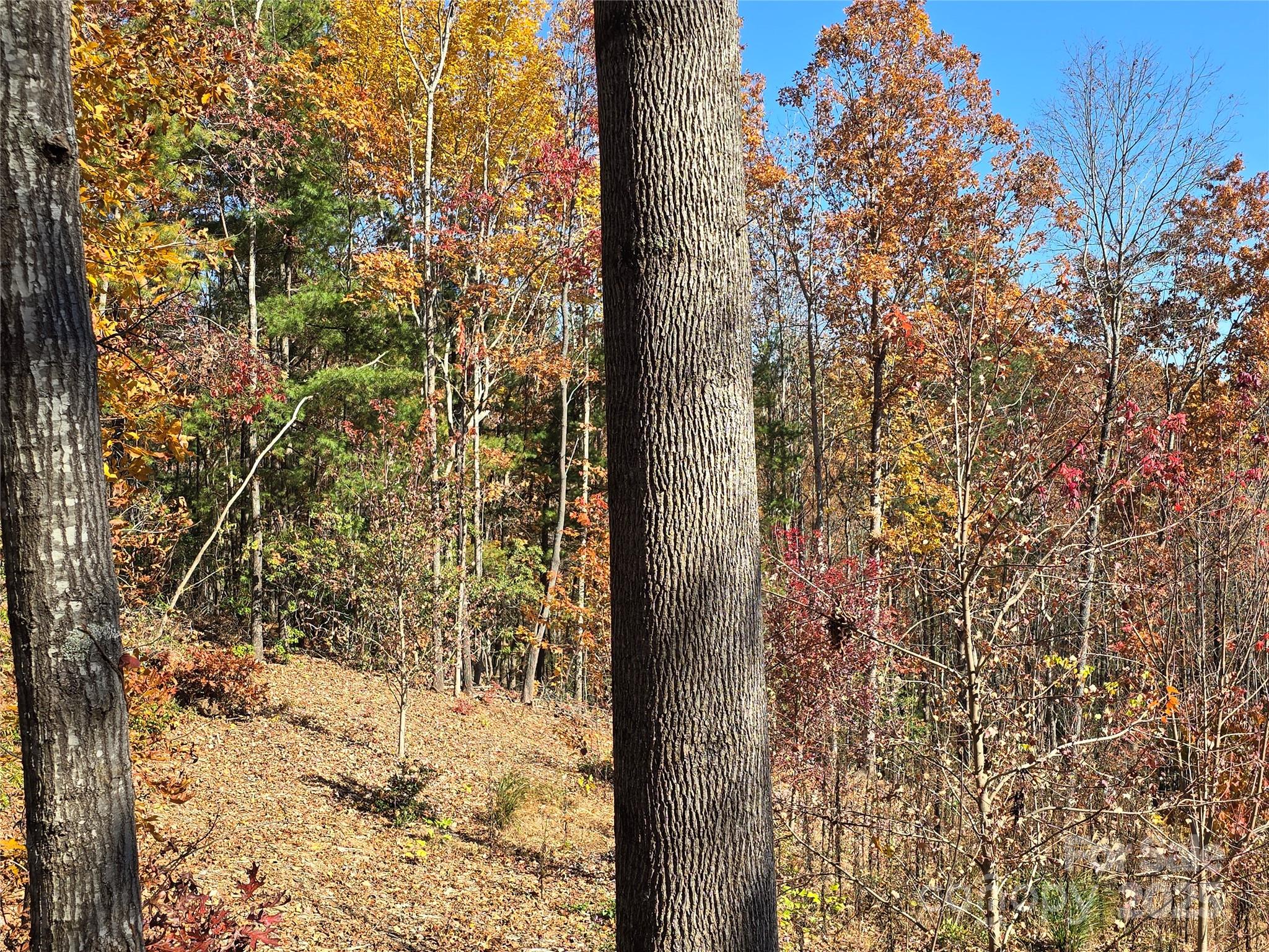 295 S Feather Falls Trail Black Mountain NC 28711