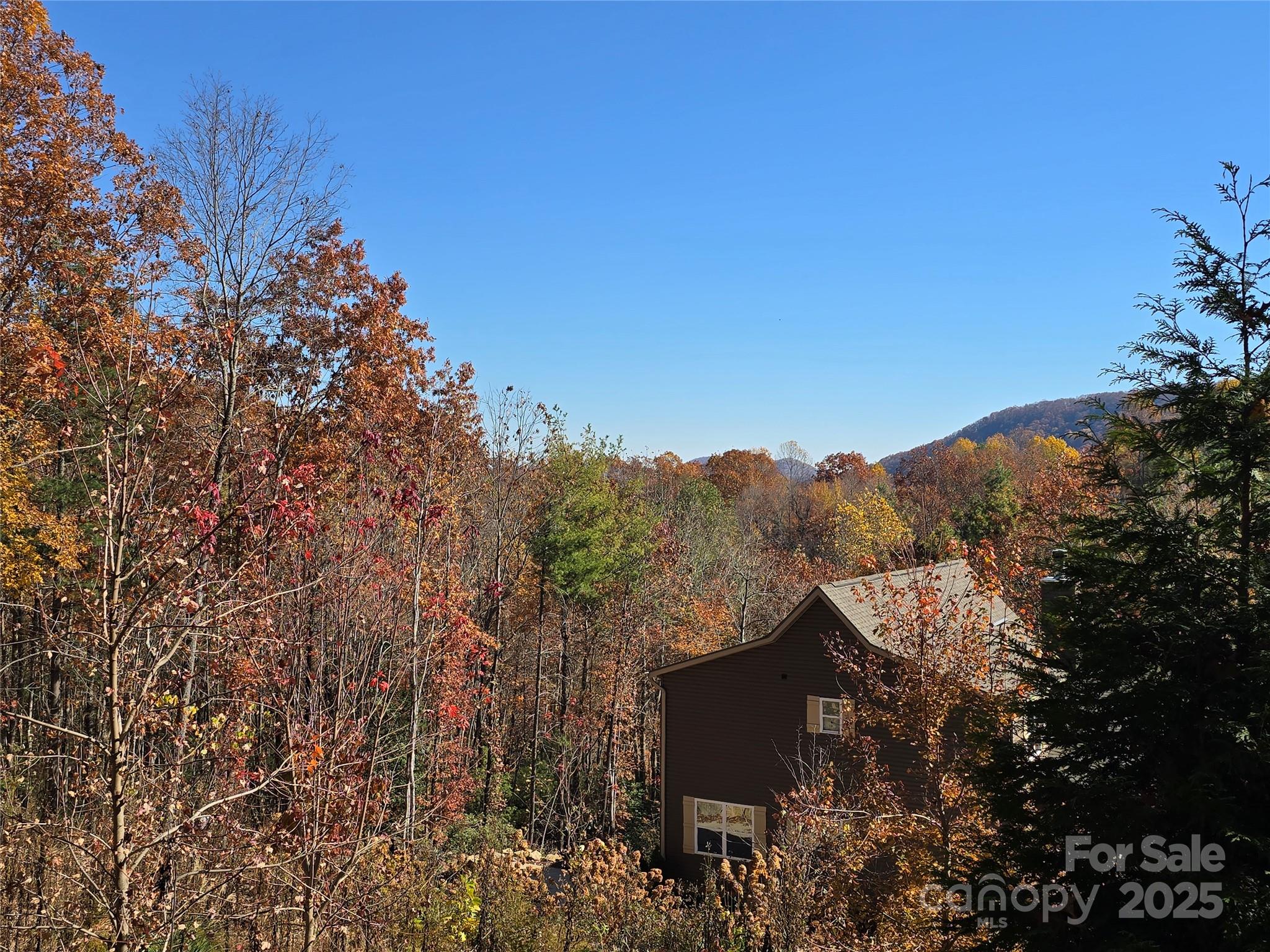 295 S Feather Falls Trail Black Mountain NC 28711