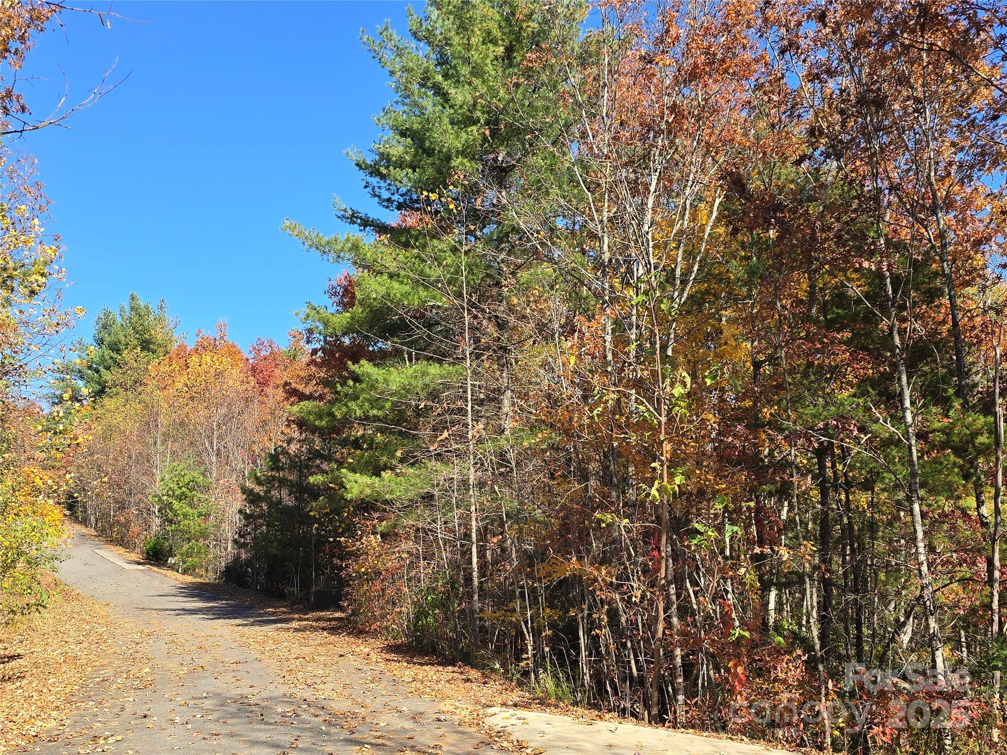 295 S Feather Falls Trail Black Mountain NC 28711