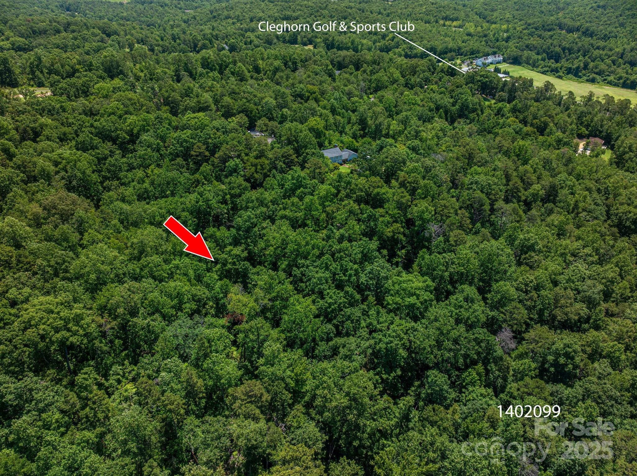 Lot 169 Coxe Road Rutherfordton NC 28139