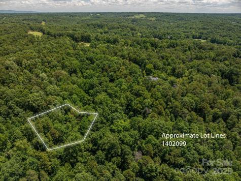 Lot 169 Coxe Road Rutherfordton NC 28139
