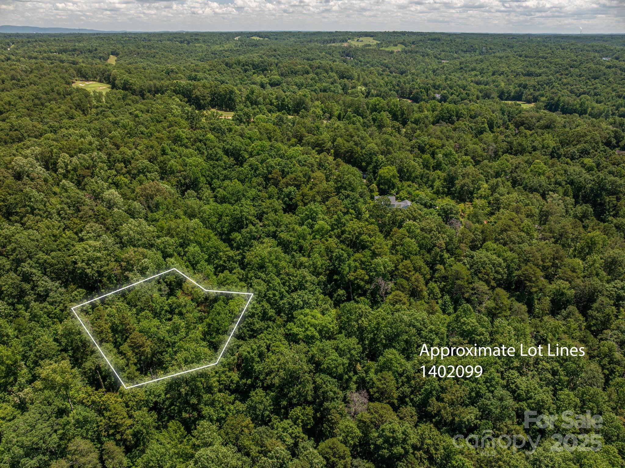Lot 169 Coxe Road Rutherfordton NC 28139