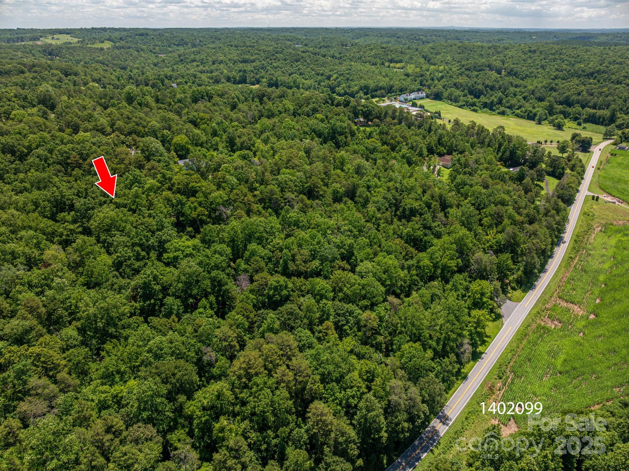 Lot 169 Coxe Road Rutherfordton NC 28139