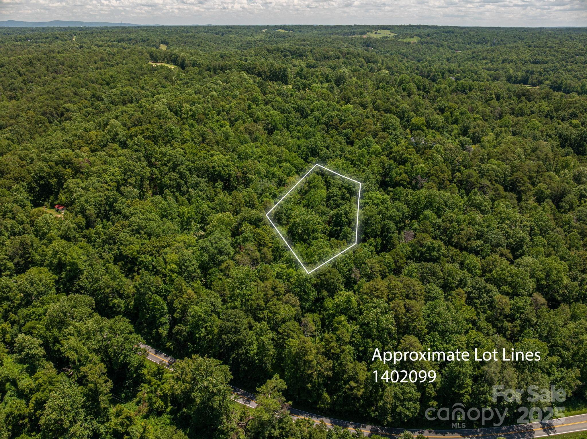 Lot 169 Coxe Road Rutherfordton NC 28139