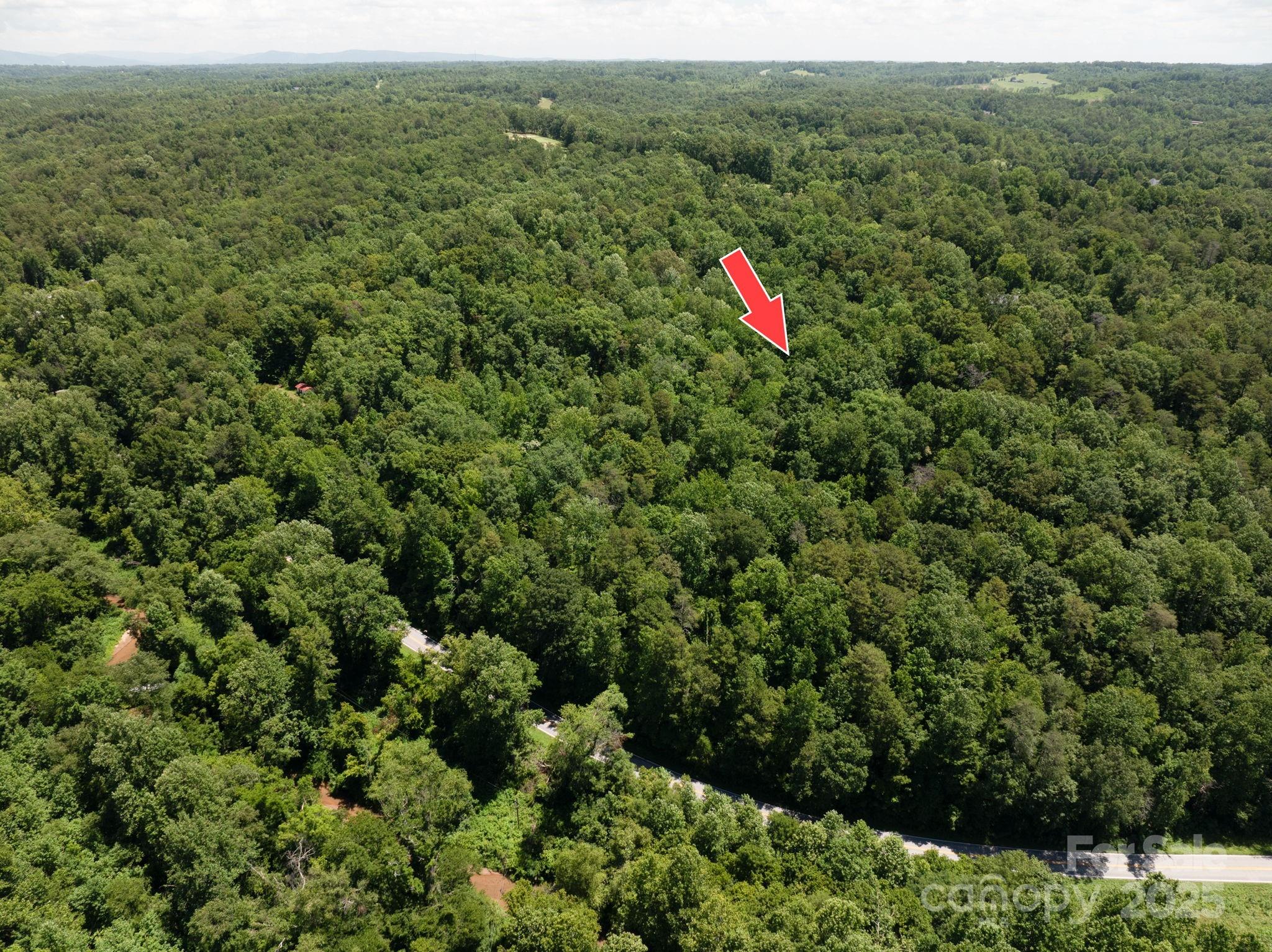 Lot 169 Coxe Road Rutherfordton NC 28139