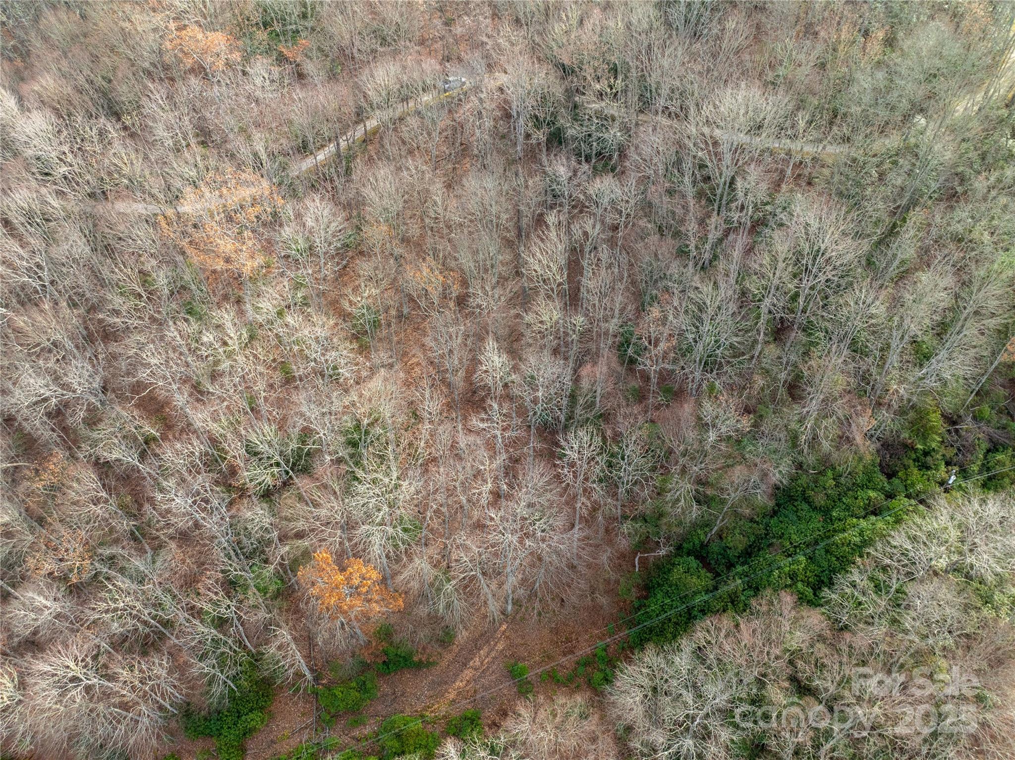 Lot 5 Mount Tabor Road Topton NC 28781