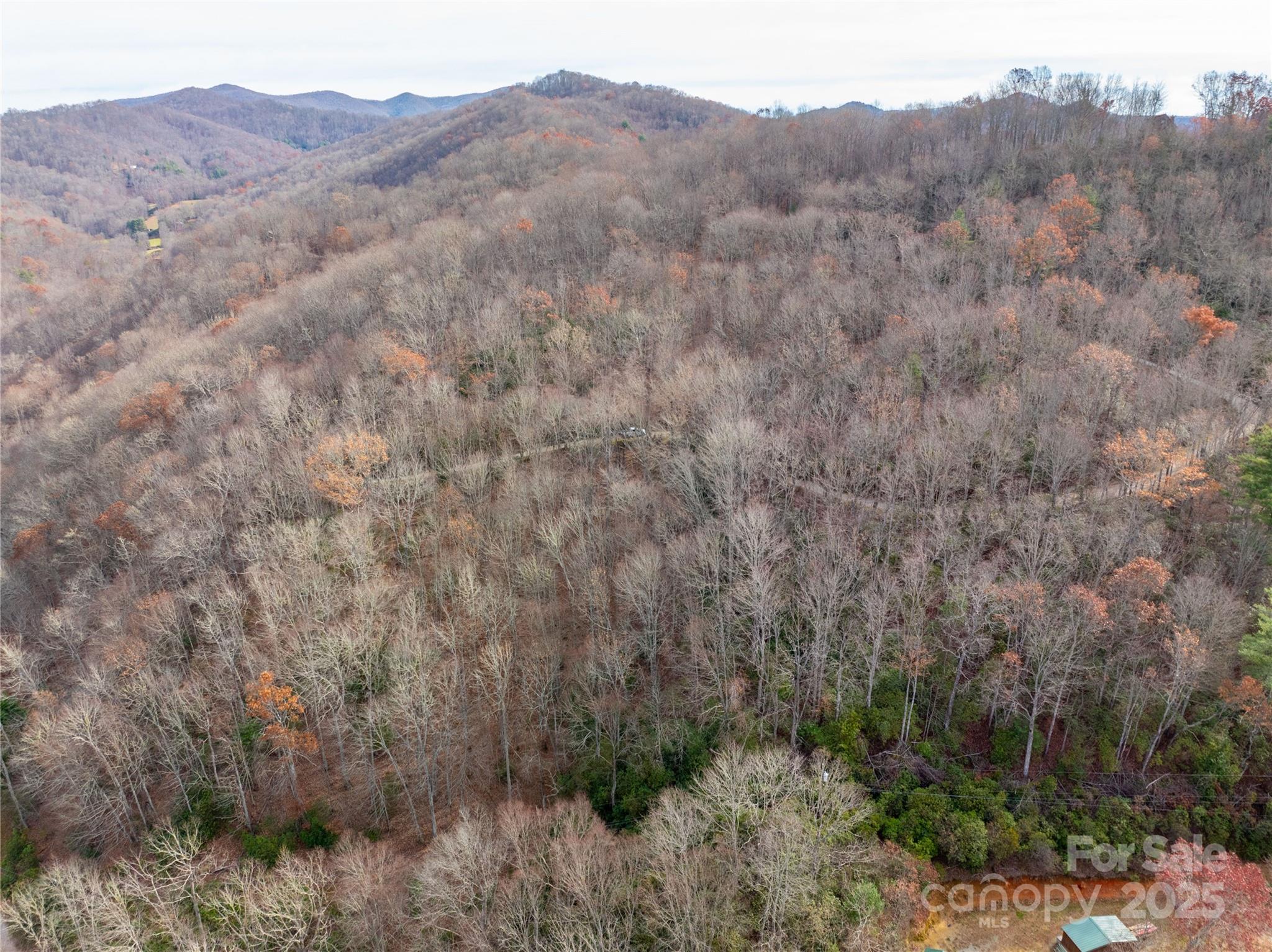 Lot 5 Mount Tabor Road Topton NC 28781