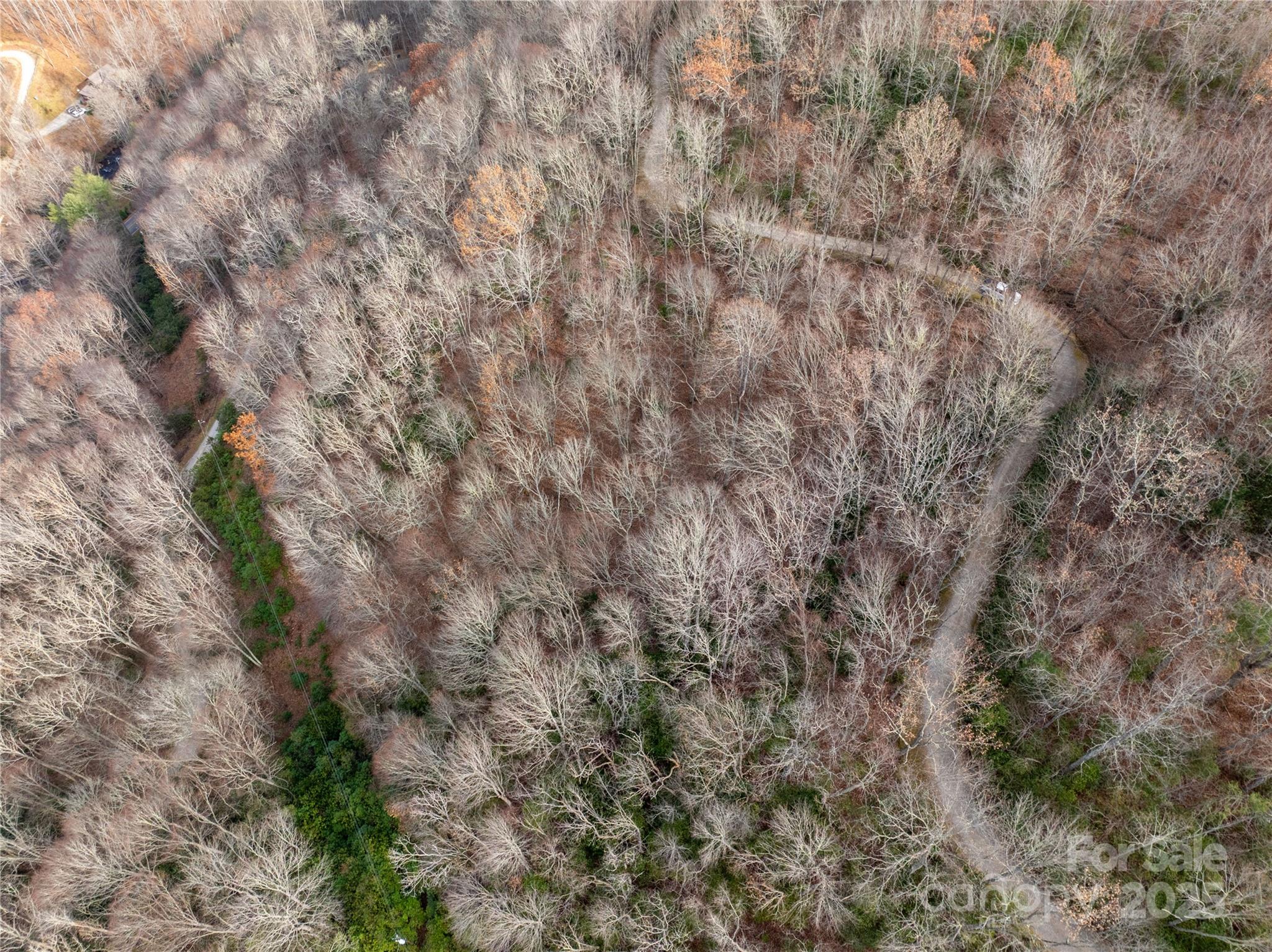 Lot 5 Mount Tabor Road Topton NC 28781
