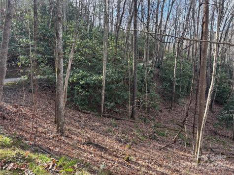 Lot 5 Mount Tabor Road Topton NC 28781