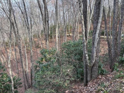 Lot 5 Mount Tabor Road Topton NC 28781