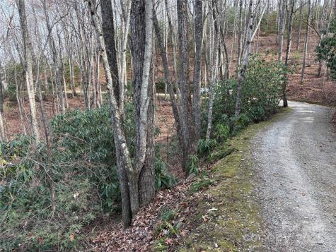 Lot 5 Mount Tabor Road Topton NC 28781