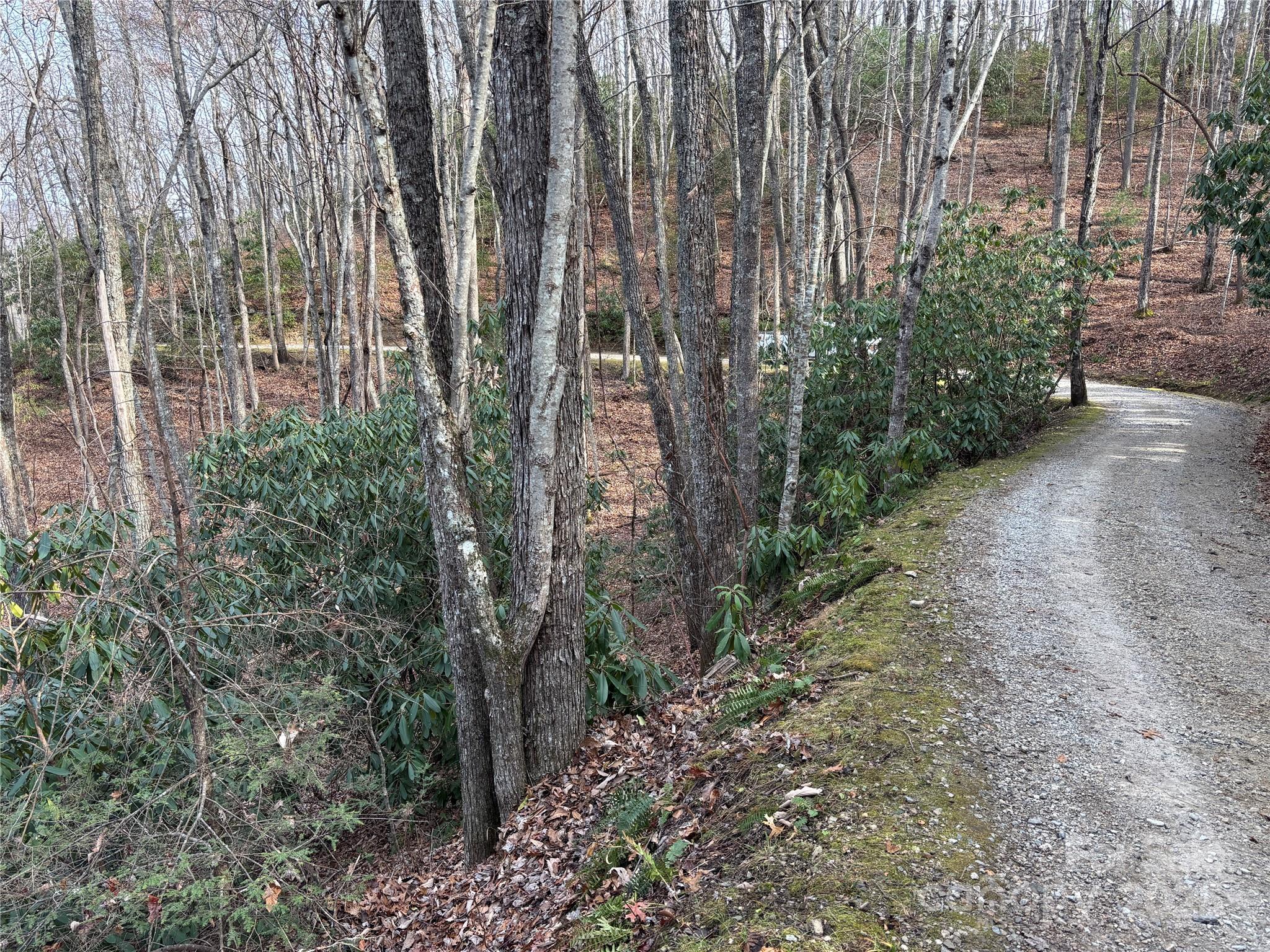 Lot 5 Mount Tabor Road Topton NC 28781