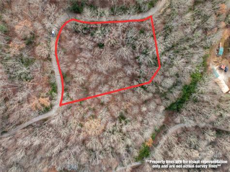 Lot 5 Mount Tabor Road Topton NC 28781