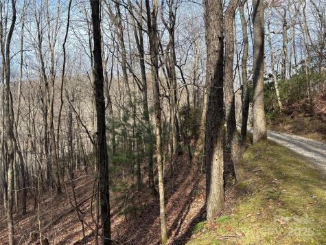 Lot 5 Mount Tabor Road Topton NC 28781