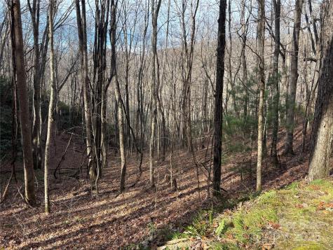 Lot 5 Mount Tabor Road Topton NC 28781
