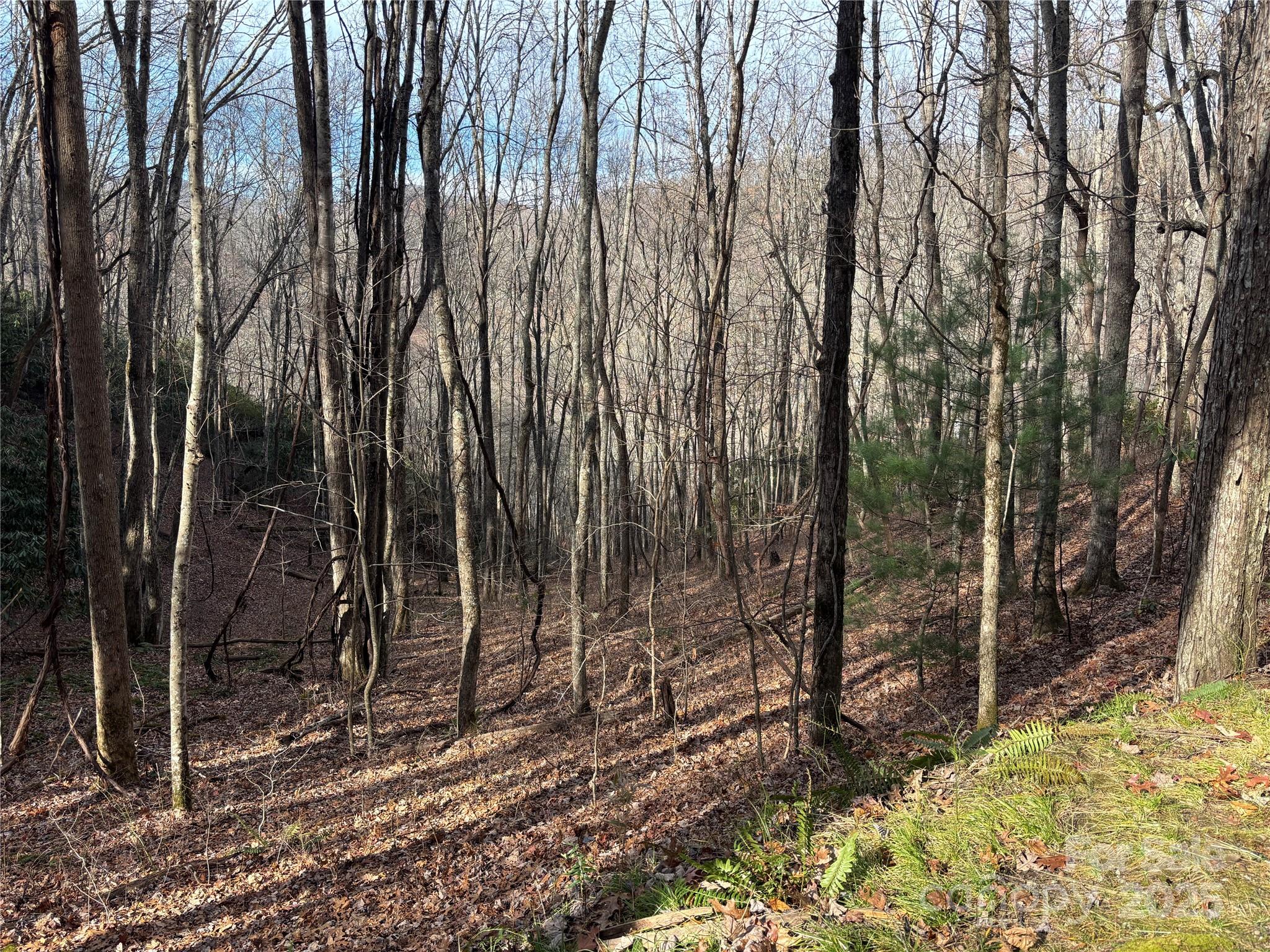 Lot 5 Mount Tabor Road Topton NC 28781
