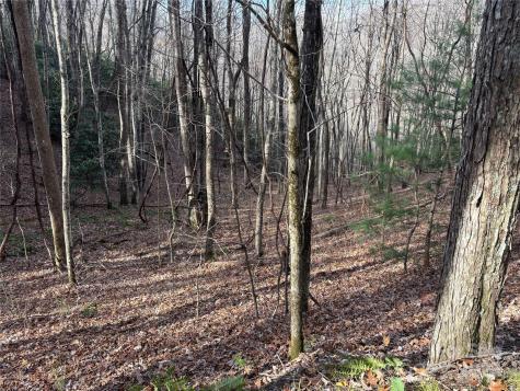 Lot 5 Mount Tabor Road Topton NC 28781