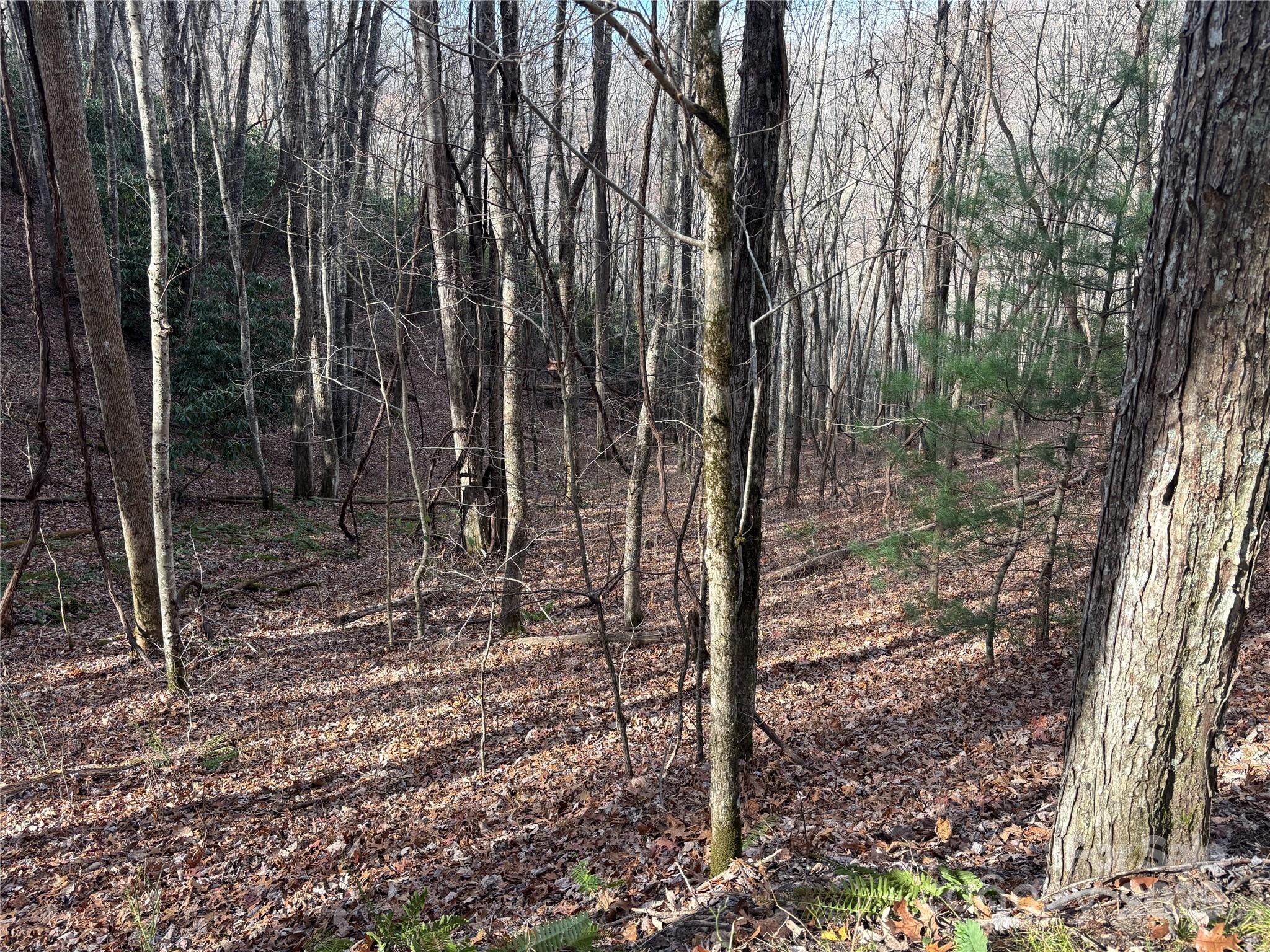Lot 5 Mount Tabor Road Topton NC 28781