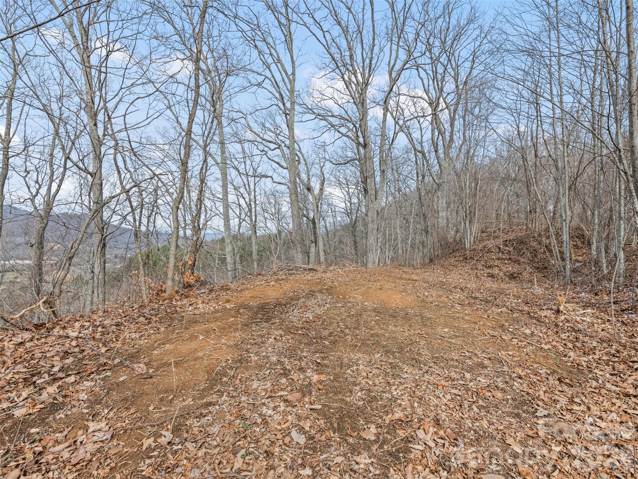 Lots #6 And 7 Viewpoint Mountain Waynesville NC 28786