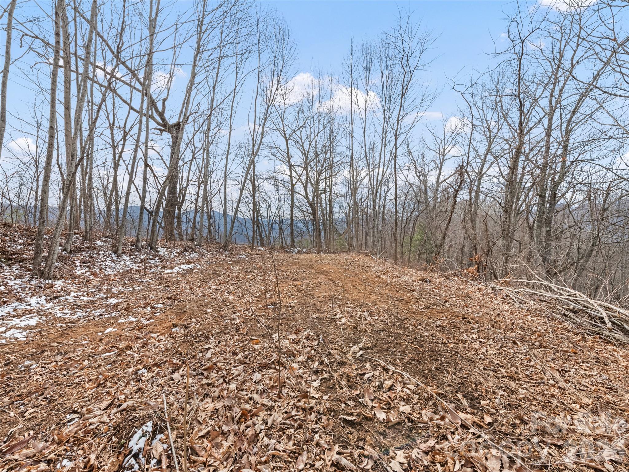 Lots #6 And 7 Viewpoint Mountain Waynesville NC 28786