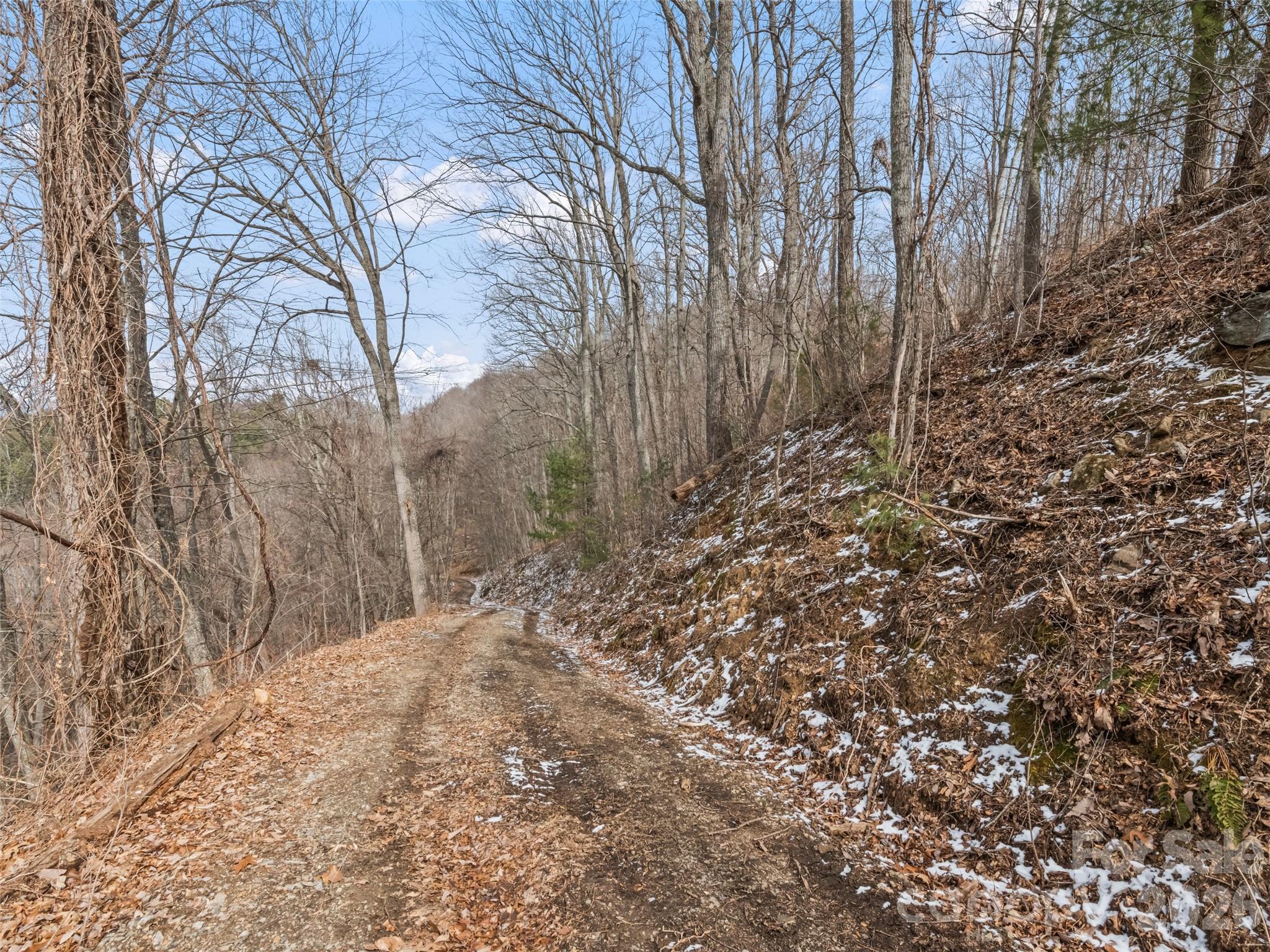 Lots #6 And 7 Viewpoint Mountain Waynesville NC 28786