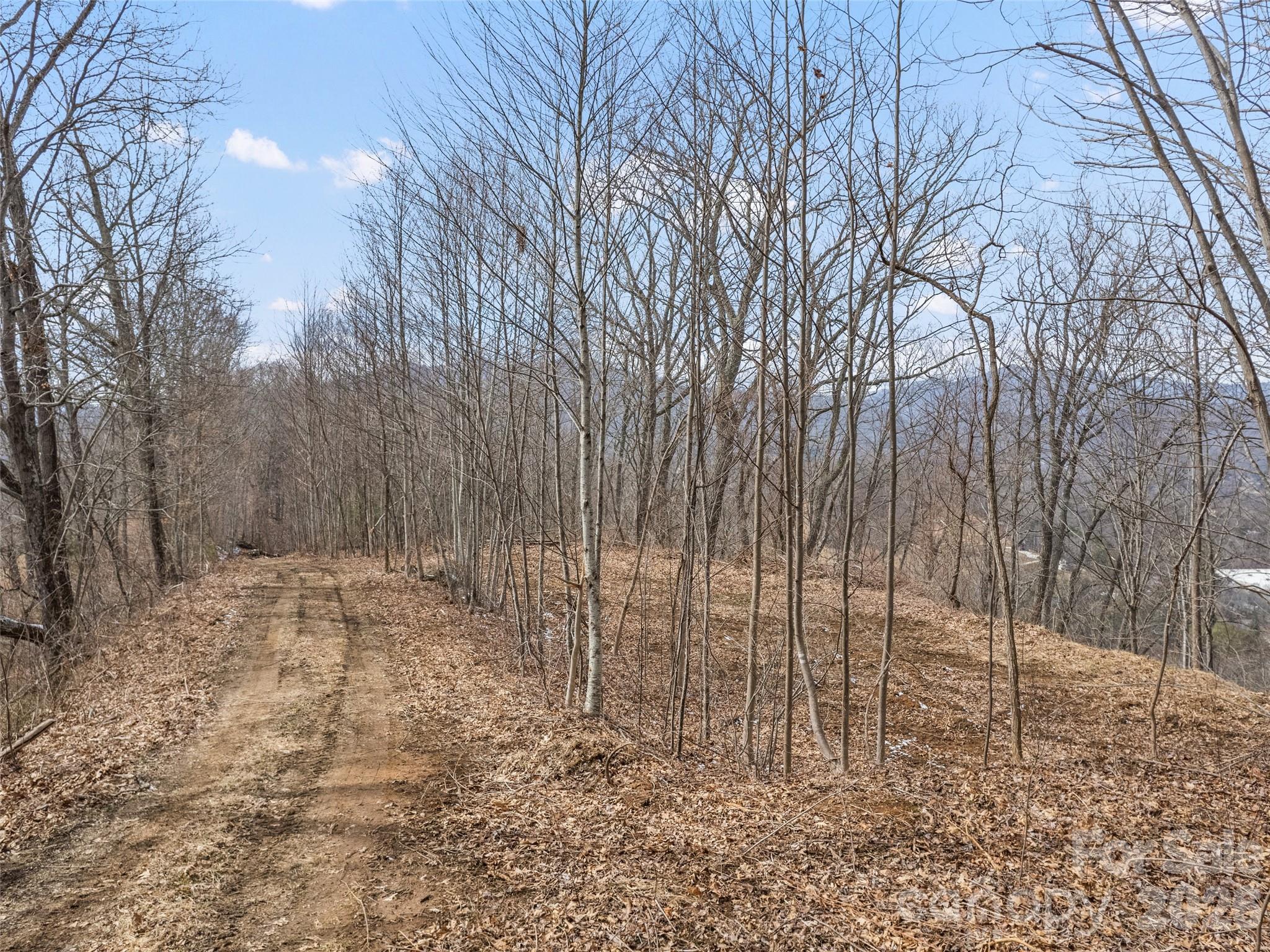 Lots #6 And 7 Viewpoint Mountain Waynesville NC 28786