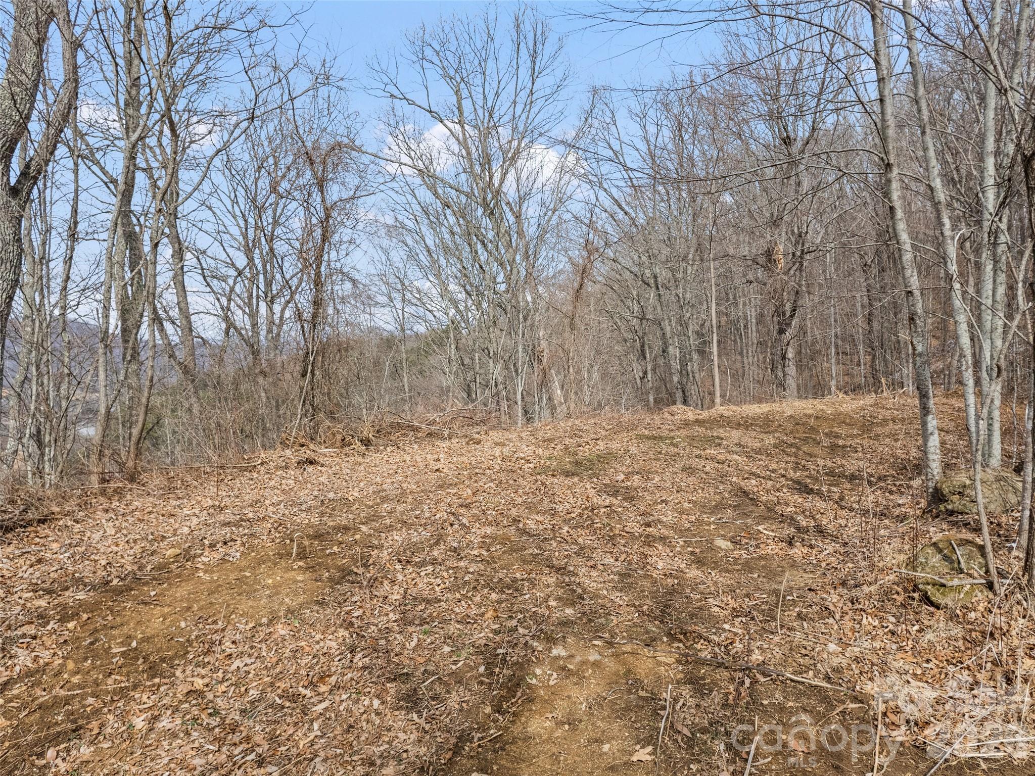 Lots #6 And 7 Viewpoint Mountain Waynesville NC 28786