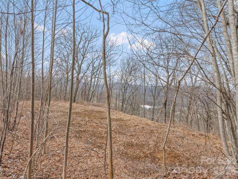 Lots #6 And 7 Viewpoint Mountain Waynesville NC 28786