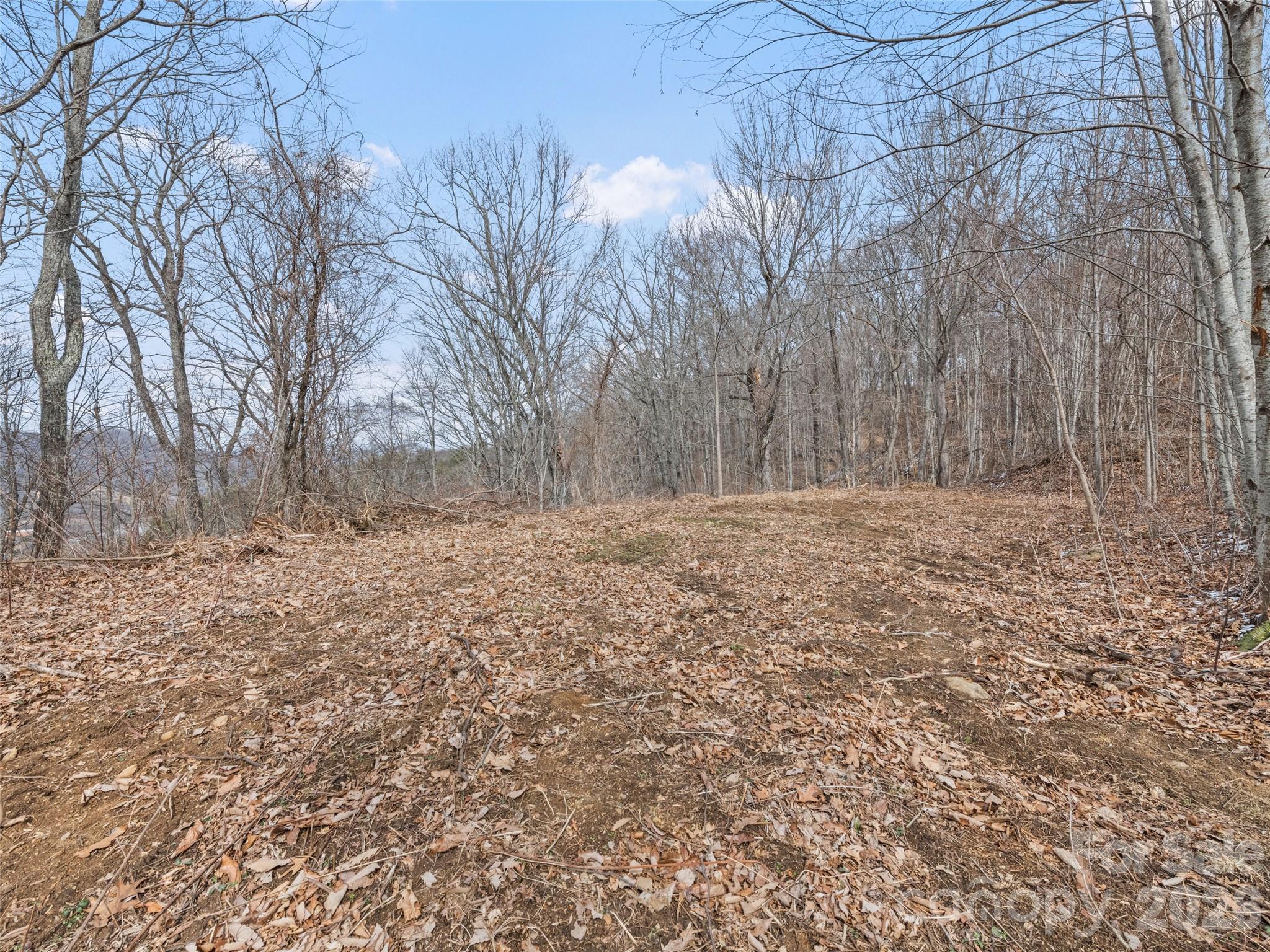 Lots #6 And 7 Viewpoint Mountain Waynesville NC 28786