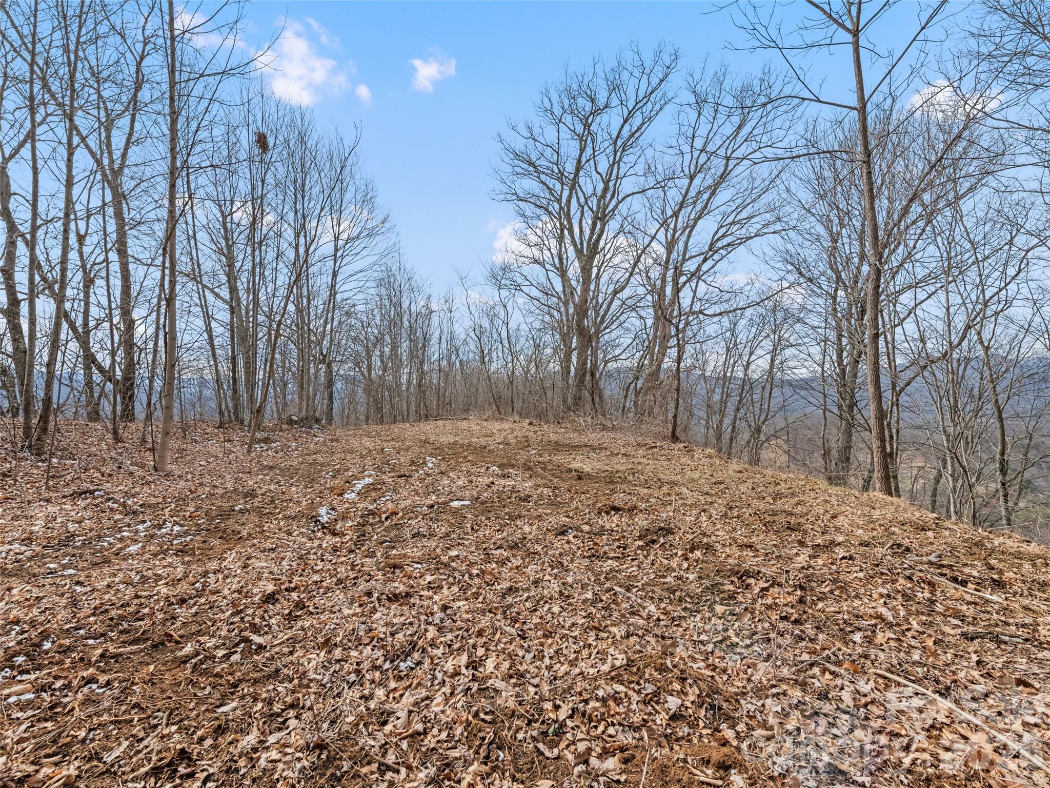 Lots #6 And 7 Viewpoint Mountain Waynesville NC 28786