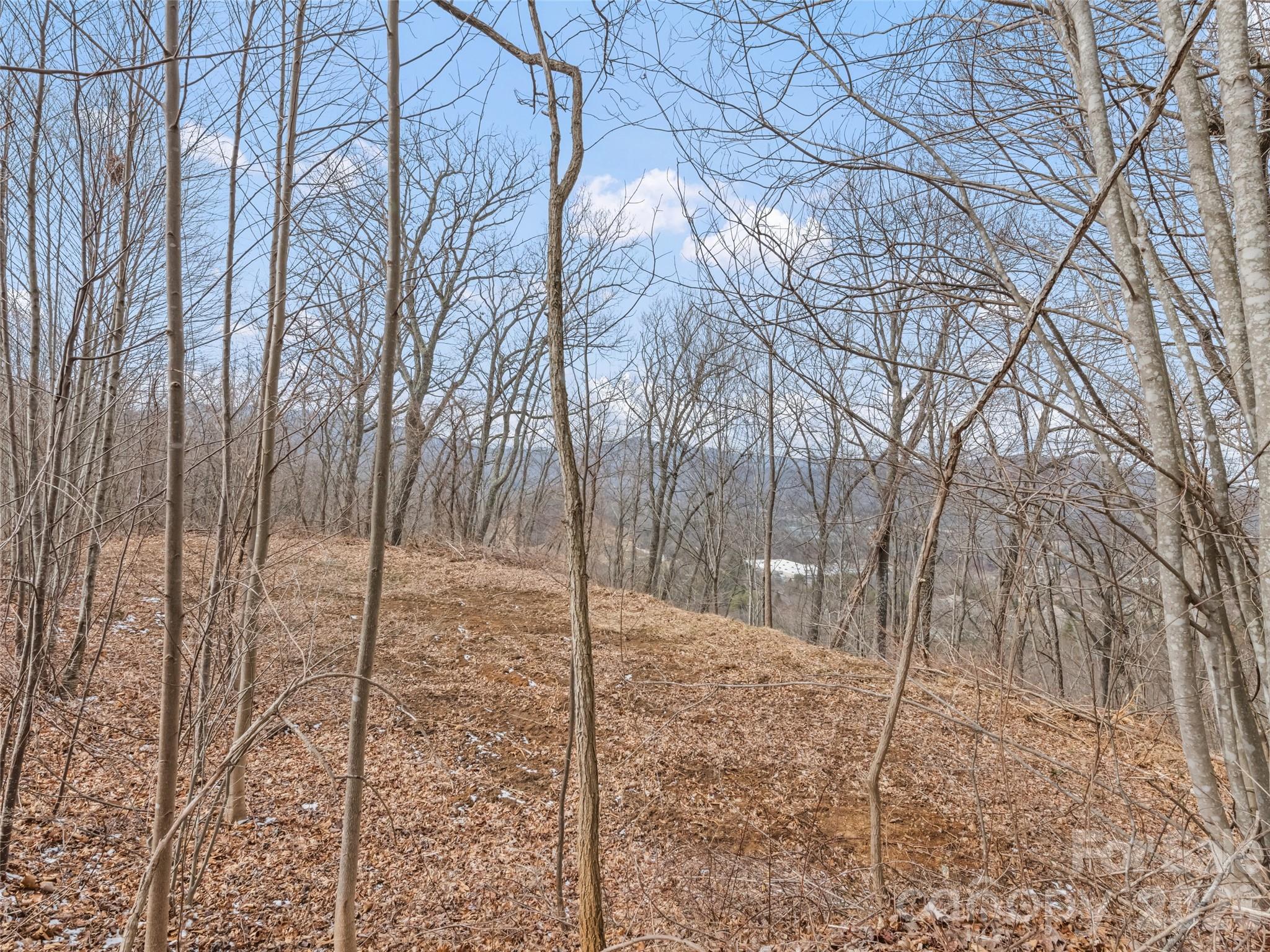 Lots #6 And 7 Viewpoint Mountain Waynesville NC 28786