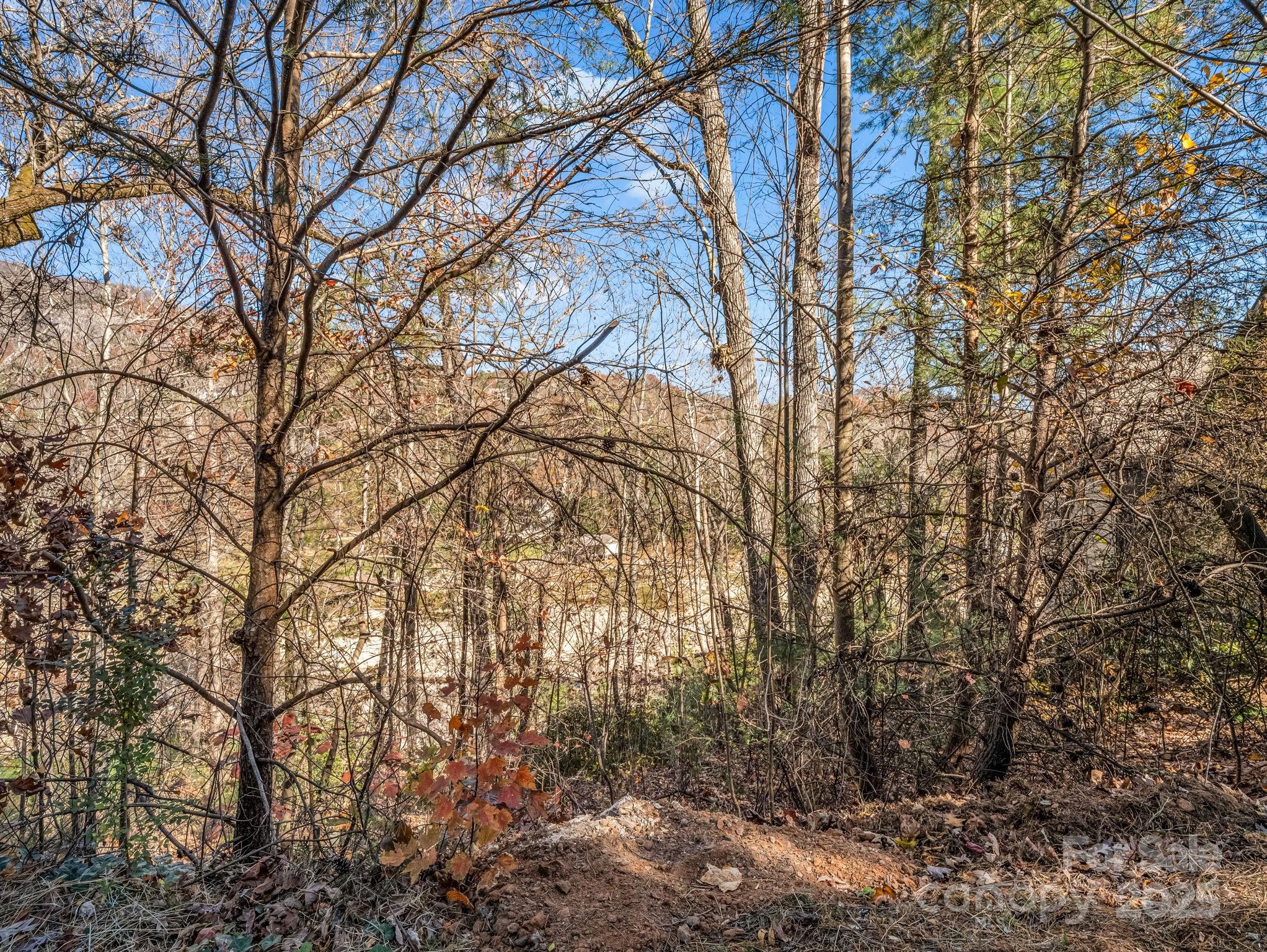 167 Firefly Point Lake Lure NC 28746