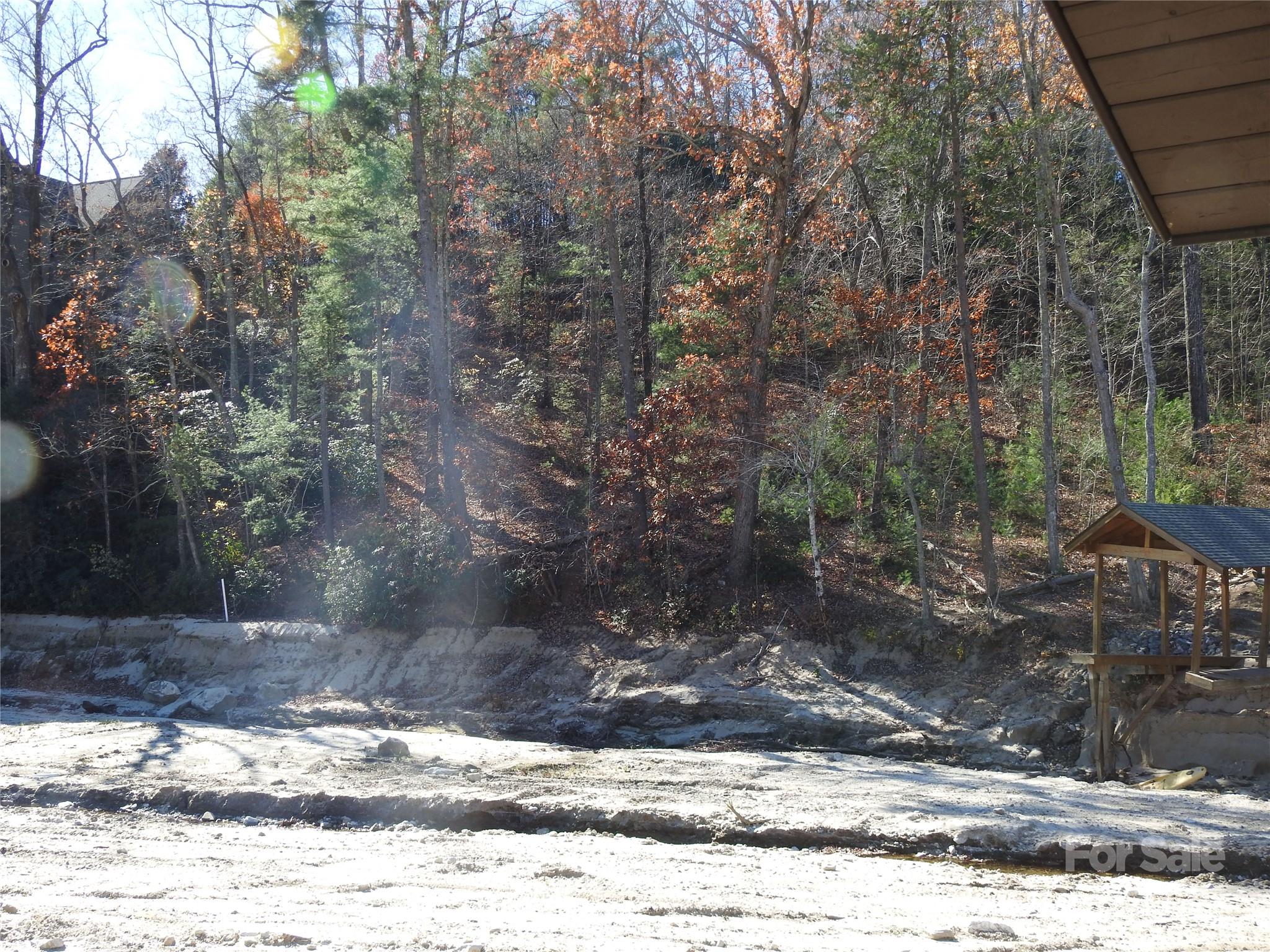 167 Firefly Point Lake Lure NC 28746