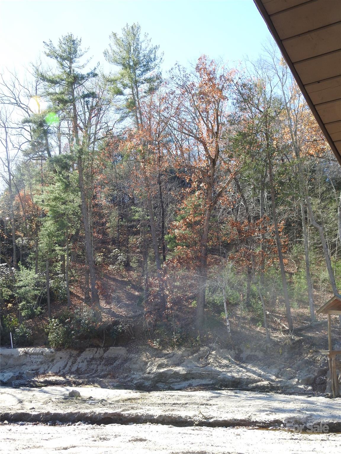 167 Firefly Point Lake Lure NC 28746