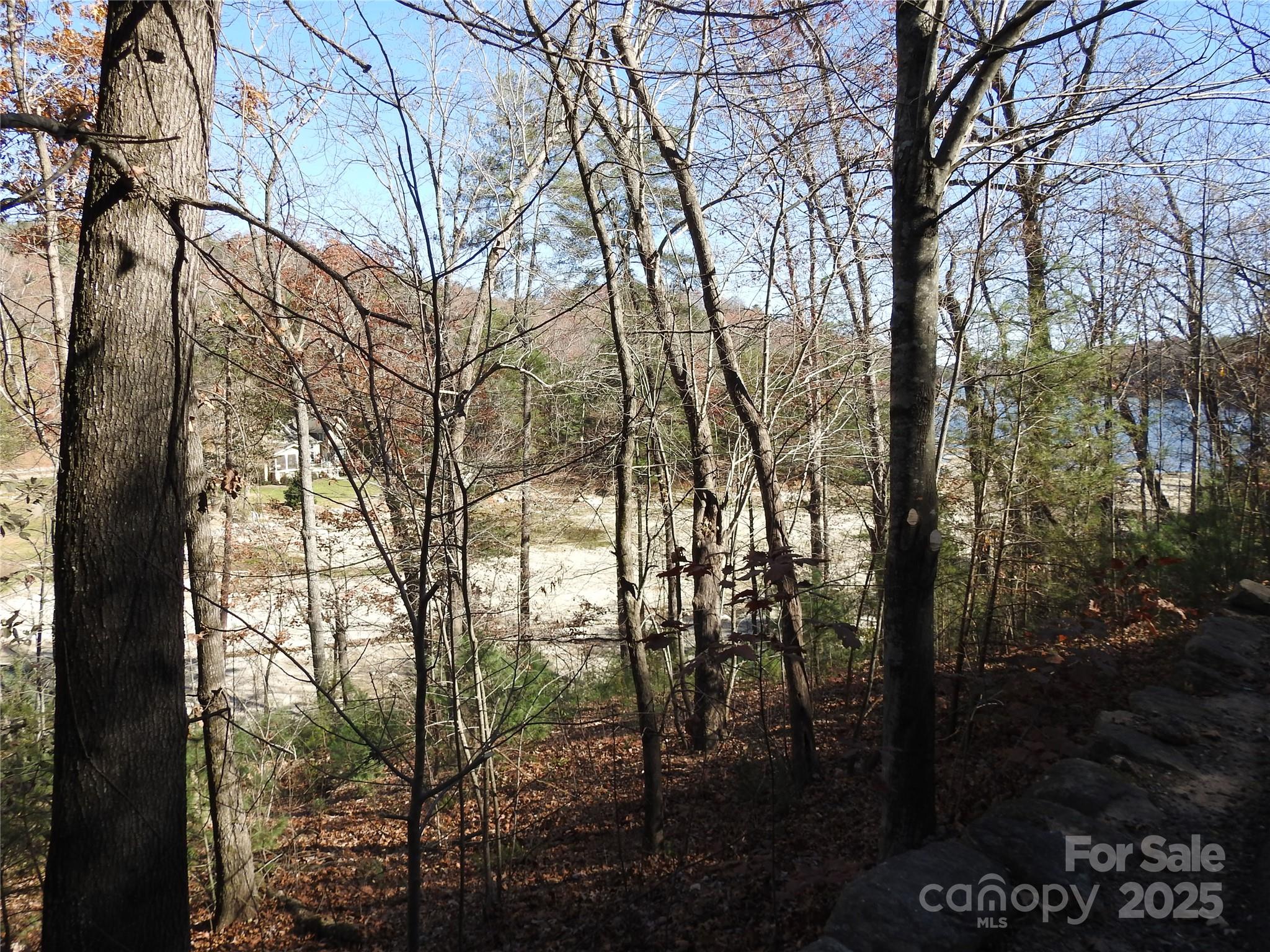167 Firefly Point Lake Lure NC 28746