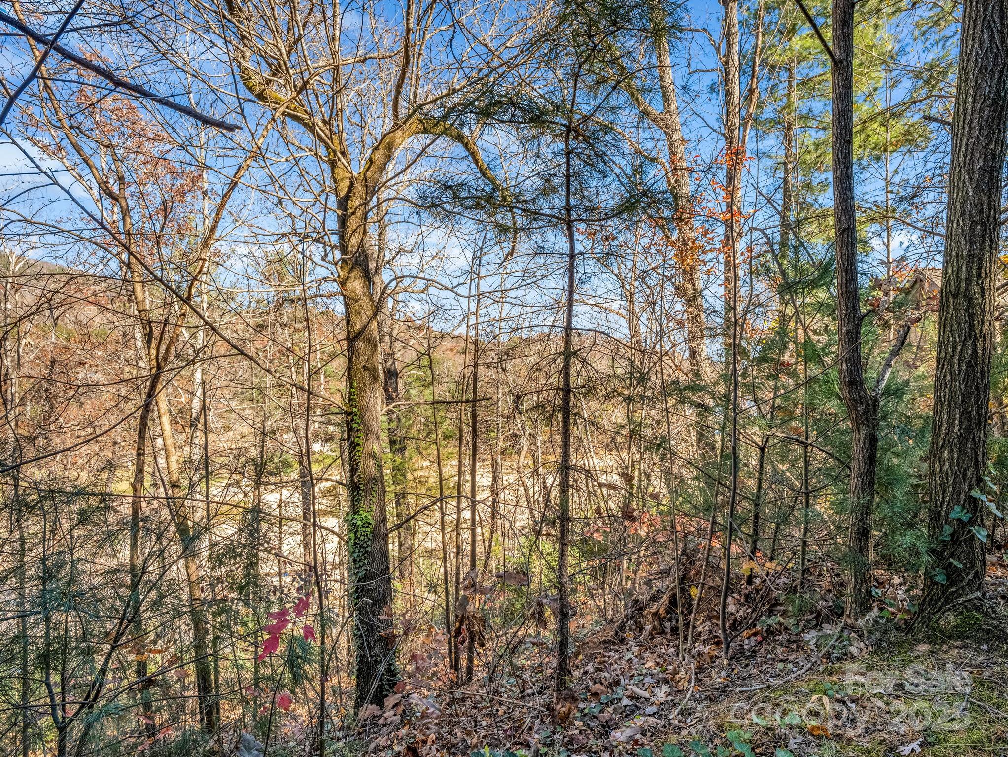 167 Firefly Point Lake Lure NC 28746