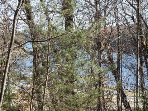 167 Firefly Point Lake Lure NC 28746