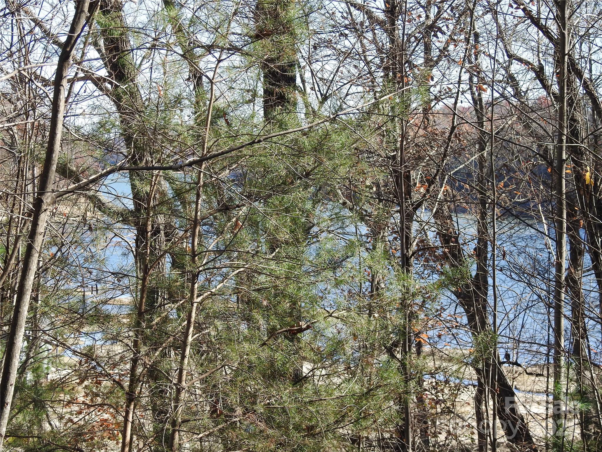 167 Firefly Point Lake Lure NC 28746