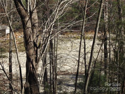 167 Firefly Point Lake Lure NC 28746